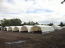ORF2_306010_0003.JPG