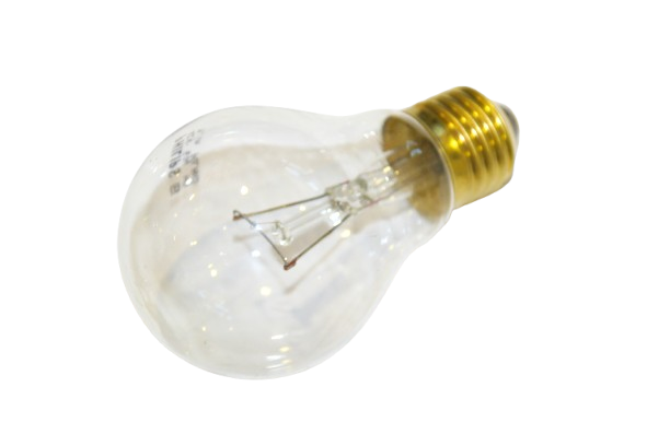 Glühlampe  230V/100W